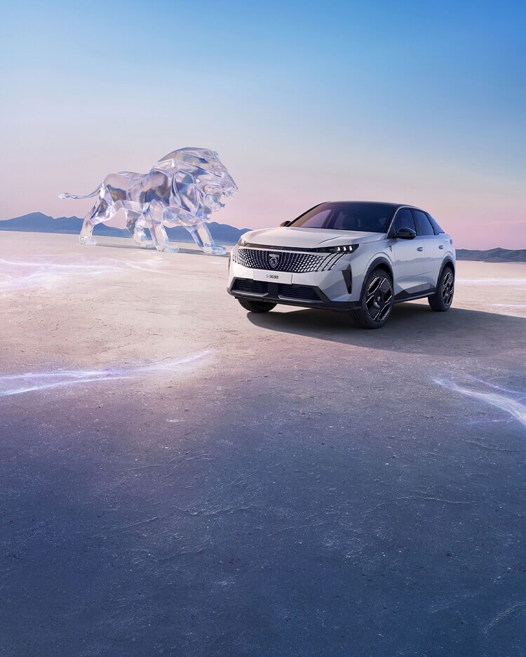 Concours Art On Ice 2025