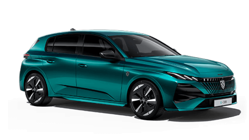 Neuer E-308 SW